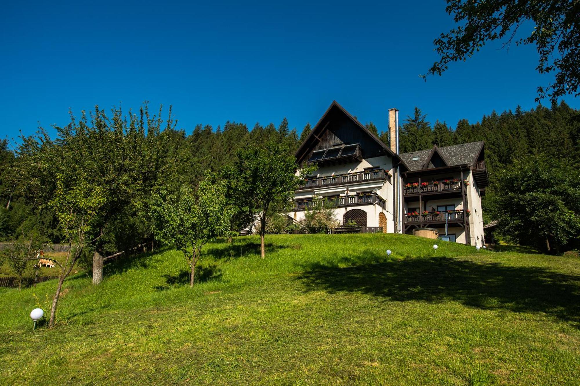 Bucovina Lodge Pension Vama  Exterior photo