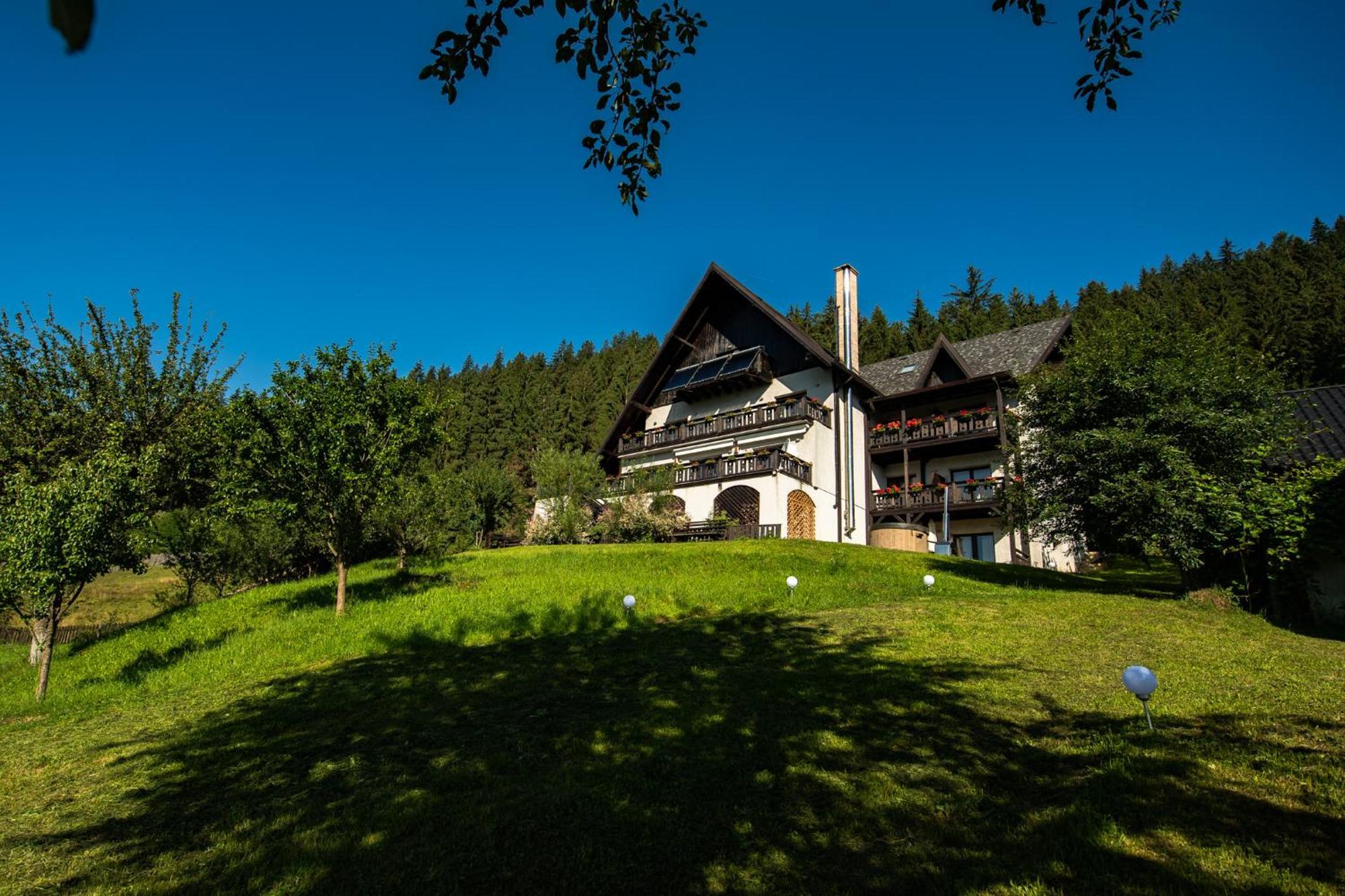 Bucovina Lodge Pension Vama  Exterior photo